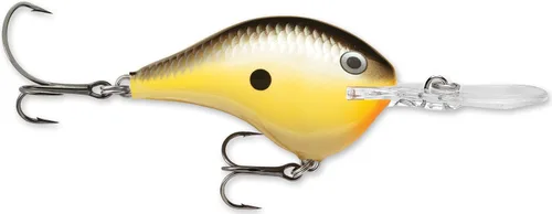 Vista 7 de Rapala DT (Dives a)