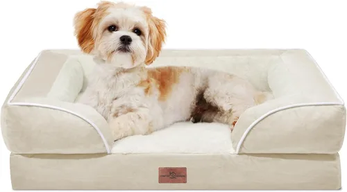 Vista 65 de Comfort Expression - Cama ortopédica para perros medianos, 28 x 19 pulgadas, cama impermeable y de apoyo de espuma con cojines removibles, sofá