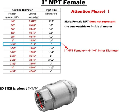 Vista 2 de Beduan Válvula de retención roscada inoxidable 1 NPT Válvula de retención sin retorno unidireccional horizontal vertical en línea con resorte