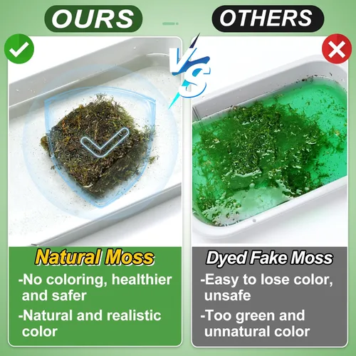 Vista 2 de Musgo verde natural de 10 onzas para principiantes, musgo de inicio para plantas de interior, jardines de hadas artificiales, mini mosswall