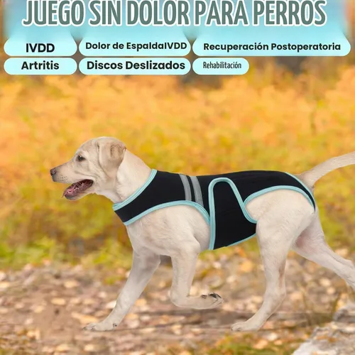 Vista 8 de IVDD - Soporte de espalda para perros, suave para la recuperación de cirugía Dog Back Protector Spine Support for Arthritis, Dogs Back Disease