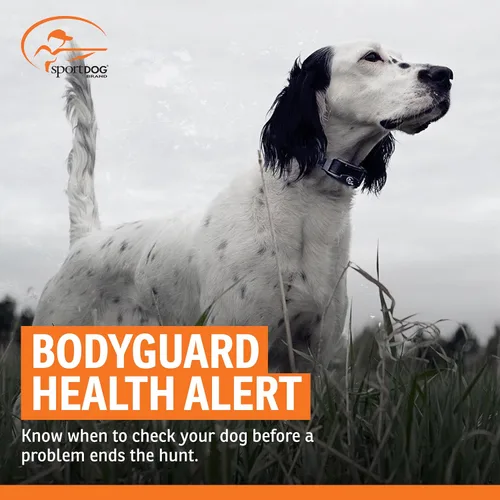 Vista 7 de SportDOG FieldSentinel 825 - Entrenador remoto con alertas de salud de guardaespaldas, monitorea la frecuencia cardíaca y el esfuerzo - Entrenador