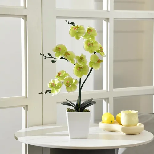 Vista 5 de Arreglos de macetas de plantas de flores de orquídea Phalaenopsis de seda artificial de 15 pulgadas de alto (verde manzana)