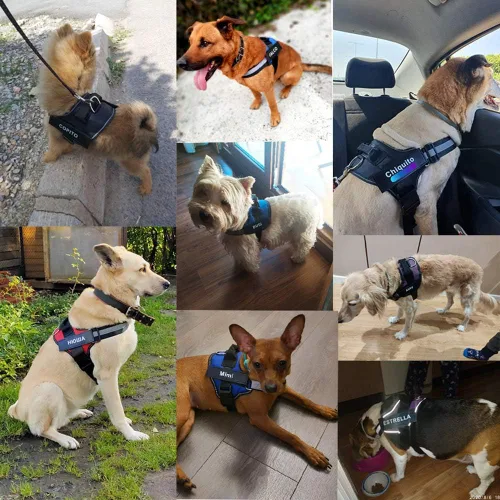 Vista 5 de HOTGOL Arnés personalizado para perro sin tirones con nombre personalizado y etiqueta de número de teléfono, chaleco reflectante transpirable Negro