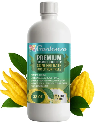 Vista 76 de GARDENERA Superalimento orgánico prémium de algas marinas y algas marinas para plantas AROID - 32 oz - Concentrado de fertilizante líquido de algas