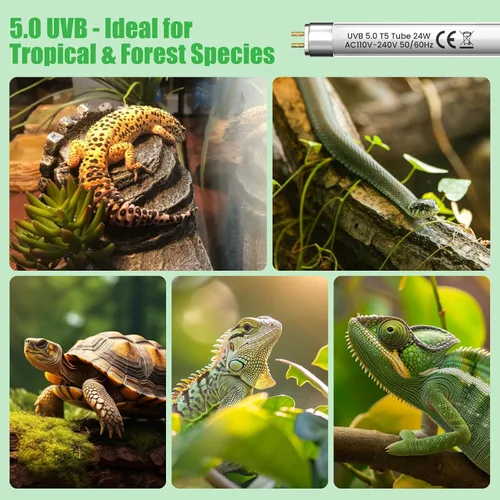 Vista 5 de GlowUp Bombilla UVB T5 HO 5.0 de 22 pulgadas, 24 W, para reptiles
