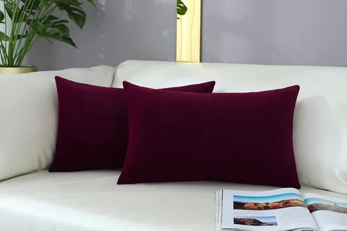 Vista 58 de mixeoo Comfy - Juego de 2 fundas de almohada decorativas de terciopelo grueso sólido y grueso, súper suaves, decoración del hogar para sofá, sala