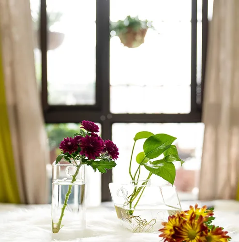 Vista 5 de Kingbuy - Maceta de terrario de plantas, estación de propagación con tubo cuadrado, florero colgante de pared, maceta de vidrio para plantas