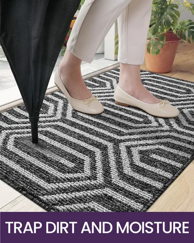 Vista 5 de DEXI - Alfombras para puerta de entrada, antideslizante, lavable, absorbente, resistente a la suciedad en el interior, alfombra de entrada de perfil