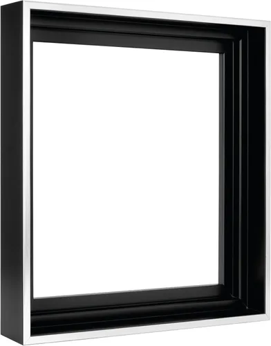Vista 69 de MCS - Marco flotante de lona, 12 x 16, negro y dorado, paquete de 1