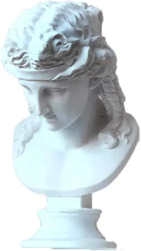 Vista 14 de Escultura de figura clásica decorativa de yeso, resina como modelo de pintura para artistas, busto, Venus, Apollo-David