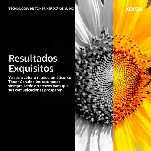 Vista 9 de Xerox B310 Black Standard Toner cartucho de tóner Negro