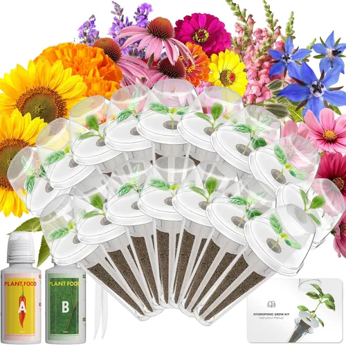 Vista 17 de Hydroponics - Vaina de semillas con albahaca genovesa y albahaca morada, kit completo de 8 cápsulas con esponja, canasta, cúpula, etiqueta