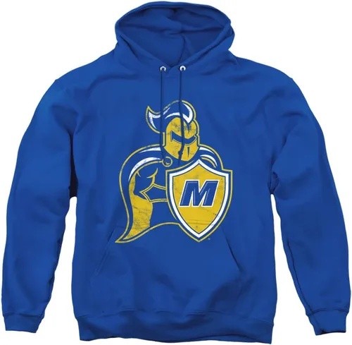 Vista 163 de Distressed College Primary Logo Adult Pullover Hoodie Collection 1 Universidad Estatal de Albany