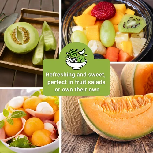 Vista 6 de Sow Right Seeds - Colección de semillas de frutas de melón para plantar - Paquetes individuales Honey Rock, Hales Best y Honeydew Melon - Semillas