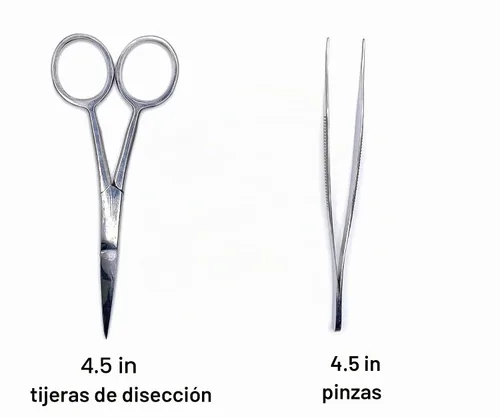 Vista 2 de Kit de disección de 18 piezas que incluye tijeras, fórceps, bisturí y sonda en bolsa de plástico desechable para laboratorio de anatomía, biología