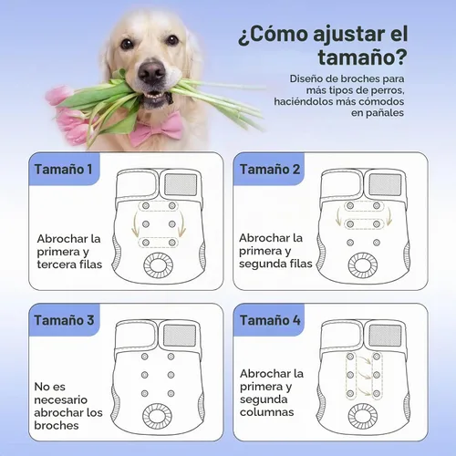 Vista 5 de Paw Legend Pañales lavables y reutilizables para perras, pañales para perras (3 unidades, XS)