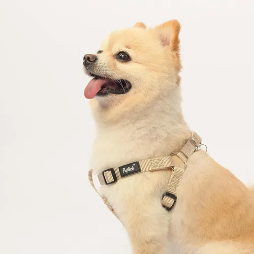 Vista 6 de PUPTECK arnés para perros sin jalar, suave, ajustable, básico, de nailon, chaleco para cachorro, para caminar al aire libre con etiqueta