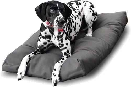 Vista 2 de Naturepedic Cama orgánica para mascotas pequeñas – Camas súper afelpadas para perros y gatos – Tapete de ultra apoyo – Cama ideal para mascotas sin
