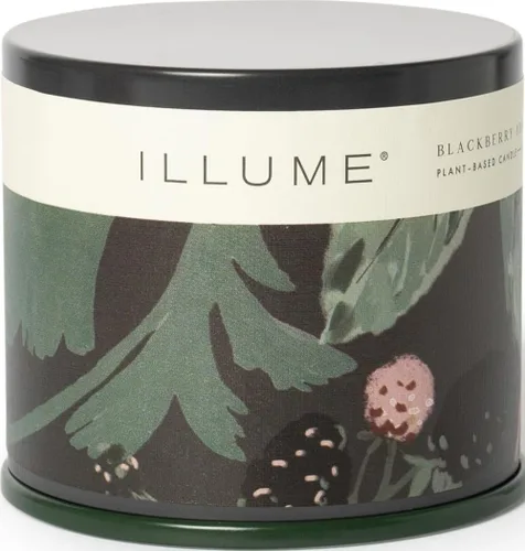 Vista 21 de Illume, Candle Hinoki Sage Vanity Tin 11.8 onzas