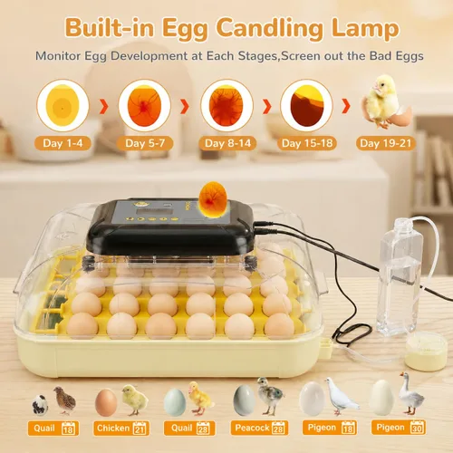 Vista 12 de Incubadoras de huevos para incubar 30 huevos con control de temperatura
