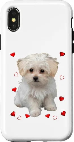 Vista 5 de Funda para iPhone 11 Maltipoo Mix Fans para amantes de los perros maltés