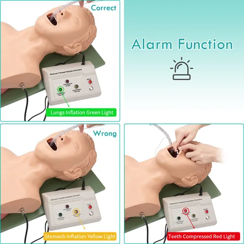 Vista 2 de Modelo de enseñanza de maniquí de intubación, modelo de simulador de entrenamiento de intubación traqueal para adultos de 110 V, entrenamiento