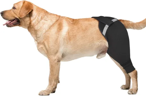Vista 12 de Funda para patas traseras de perro para dejar de lamer, cubierta mejorada para patas traseras para dejar de resbalar, para cirugía TPLO, condiciones