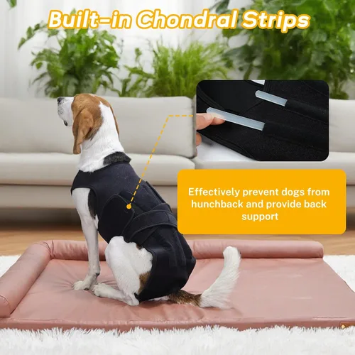 Vista 5 de Soporte de espalda para perros pequeños, soporte de estabilidad espinal, color negro, S Spinal Stability Brace with 5 Flexible Plastic Strips