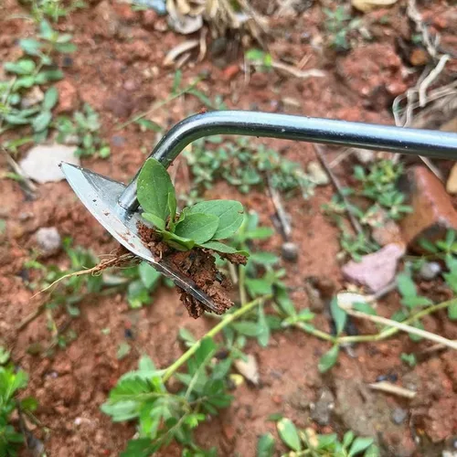 Vista 7 de VIGAN 1 Uds. Multifuncional Jardín Weeders Hierba Rooting Suelo Suelto Eliminación de Deshierbe de mano Extractor de Deshierbe Acero Inoxidable