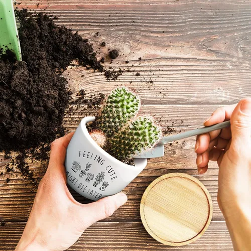 Vista 3 de Maceta Divertida para Plantas Suculentas, Maceta Pequeña para Plantas de Interior, Lindas Macetas de Cerámica para Cactus con Drenaje, Decoración