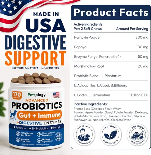 Vista 8 de (Paquete de 2) Probióticos para Perros - 340 Masticables Probióticos para Perros - Enzimas Digestivas y Prebióticos - Apoyan la Salud Intestinal