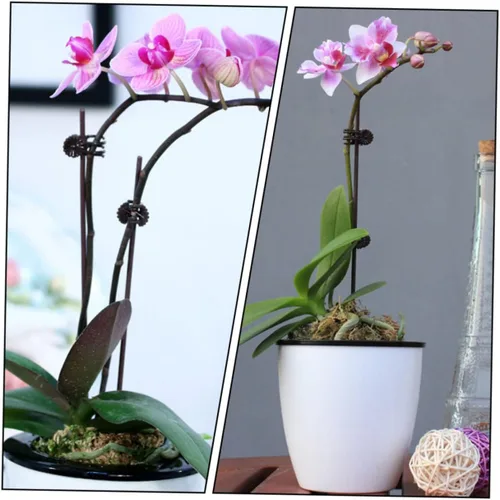 Vista 3 de 150 clips de orquídea de jardín, prácticos clips de soporte para plantas para asegurar tallos y enredaderas, protegen las orquídeas de daños por