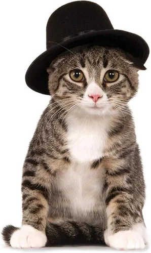 Vista 2 de Rubies Sombrero para mascotas para perros o gatos, S/M