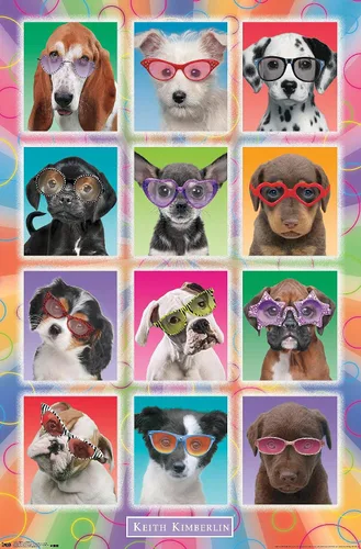 Vista 11 de Trends International Keith Kimberlin - Póster de pared con diseño de cachorros, gafas de sol, 14.725 x 22.375 pulgadas, versión enmarcada de madera
