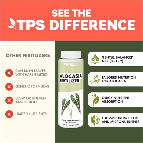 Vista 4 de Alocasia Fertilizer - Alimento líquido vegetal para hojas más grandes, 32