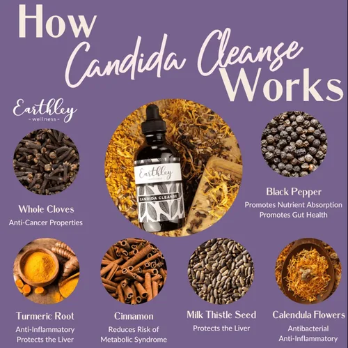Vista 3 de Earthley Wellness Candida Cleanse, tintura de hierbas para el crecimiento excesivo de levadura, apoyo intestinal y hepático, suplemento orgánico
