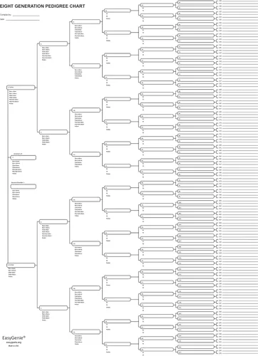 Vista 3 de EASYGENIE Gráfico del pedigrí (8 generaciones/256 nombres), hoja única