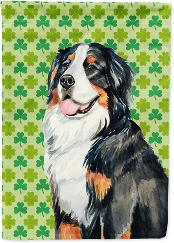 Vista 138 de Caroline's Treasures SS4442GF Affenpinscher Bandera de jardín con retrato de trébol del día de San Patricio para buzón, bandera decorativa
