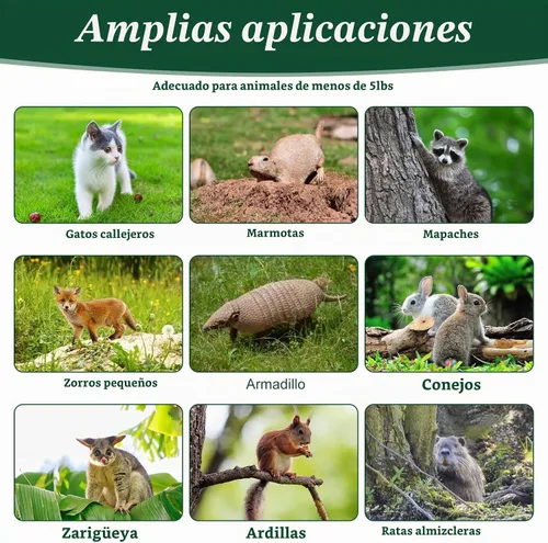 Vista 4 de Trampa para animales humanos de 24 pulgadas, trampas plegables de jaula