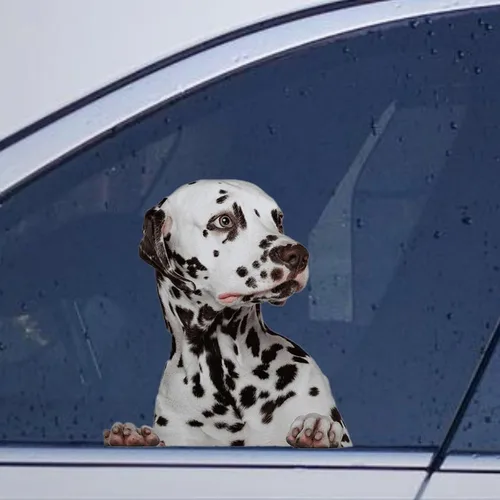 Vista 45 de Calcomanías de perro caniche, divertidas calcomanías de vinilo troqueladas para automóvil, laptop, parachoques Estilo-37