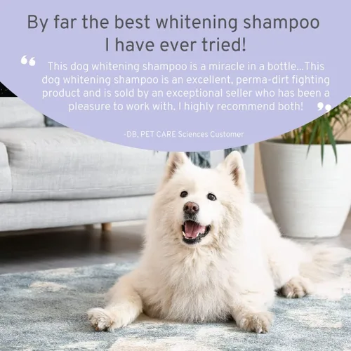 Vista 8 de Champú blanqueador para perros de 8 onzas líquidas – Champú para perros blancos – Champú para cachorros para abrigos blancos – Blanqueador de pelo