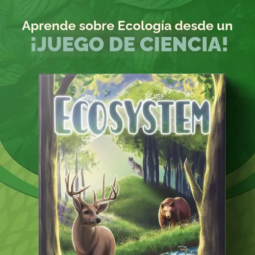 Vista 3 de Ecosistema - Un juego de cartas familiar sobre la construcción de hábitats ¡Aprende sobre animales, ecología y biodiversidad para niños, adultos