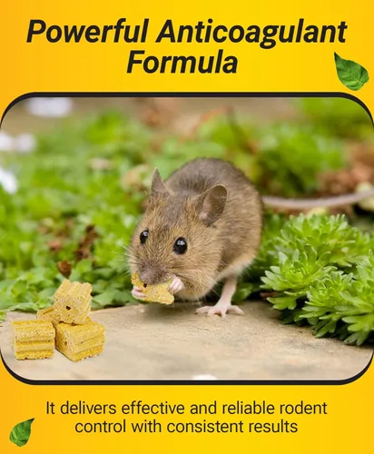 Vista 2 de Kaput Bloques para Ratones, Cebo para Roedores para Ratones y Ratas, Veneno para Topos Warfarina para Uso en Interiores/Perímetro, Mata Roedores