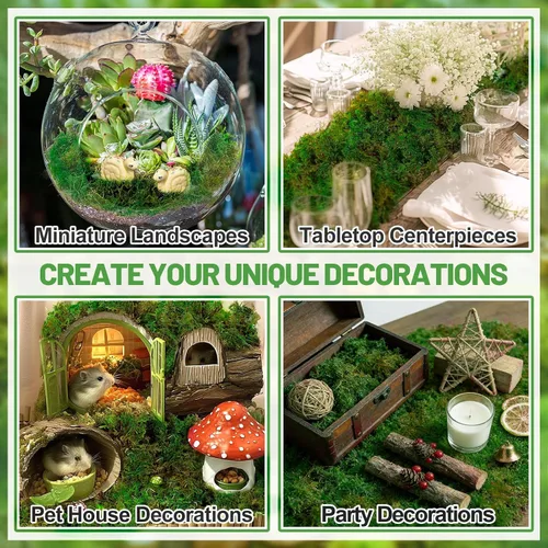 Vista 5 de Musgo verde natural de 10 onzas para plantas de interior, musgo real de bosque seco para manualidades, jardines de hadas artificiales, mosswall