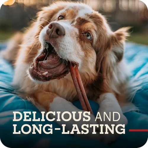 Vista 6 de Redbarn Pet Products All Natural Bully Sticks de 5 a 8 pulgadas para perros pequeños y grandes – Paquete variado de masticables saludables de larga