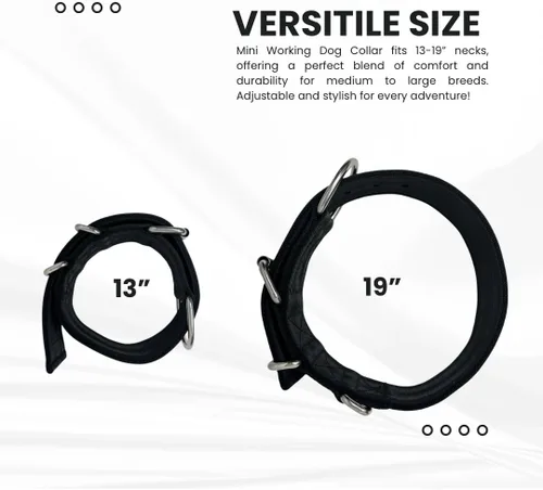 Vista 5 de SparkDog - Collar de perro resistente de 1.5 pulgadas, correa ajustable de grado de cinturón de seguridad con herrajes de acero inoxidable