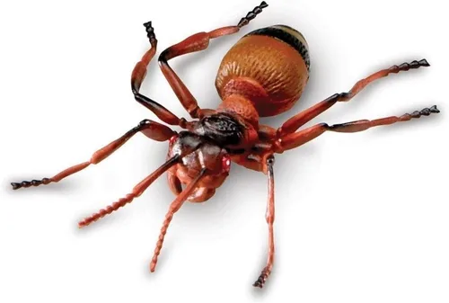Vista 6 de Learning Resources Insectos jumbo, juguetes de animales para niños, ciencia preescolar infantil, habilidades motoras finas, regalos para niños