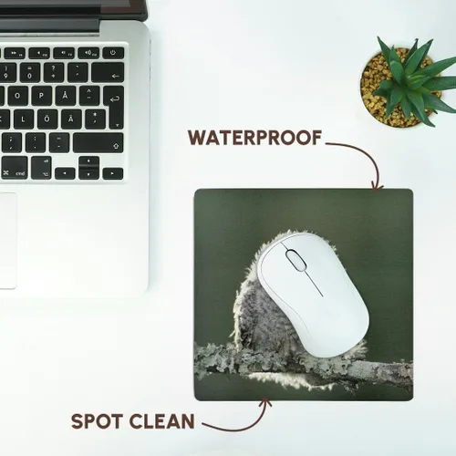 Vista 7 de 3dRose LLC 8 x 8 x 0.25 inches Mouse Pad, Eastern screech-owl, Rio Grande Valley, Texas, Rolf Nussbaumer