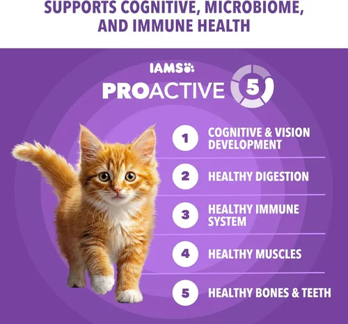 Vista 5 de IAMS Proactive Health Healthy Kitten Dry Cat Food, Chicken, 3.5 lb Recomendados por veterinarios, DHA Omega-3 y taurina apoyan el cerebro